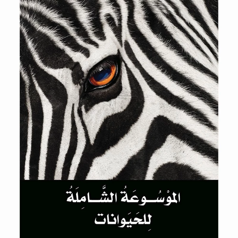 No image available